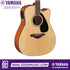 Zoso Music Yamaha FGX800C acoustic-electric guitar with solid spruce top, cutaway body, and nato back and sides