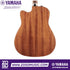 Zoso Music Yamaha FGX800C acoustic electric guitar back view showing nato wood grain and cutaway body design