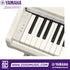 Zoso Music Yamaha Arius YDP-166 digital piano control panel and white wood grain finish keys