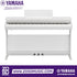 White Yamaha Arius YDP-166 88-key digital piano with weighted keys and three pedals from Zoso Music
