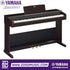 Zoso Music Yamaha Arius YDP-105 digital piano in rosewood finish with 88 weighted keys and three pedals.