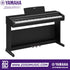 Zoso Music Yamaha Arius YDP-146 digital piano in black with 88 weighted keys and three pedals for home practice.