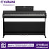 Zoso Music Yamaha Arius YDP-146 digital piano in black with 88 weighted keys and three pedals