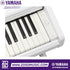 Zoso Music Yamaha Arius YDP-146 digital piano keyboard close-up with white keys and volume control knob