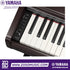 Zoso Music Yamaha Arius YDP-146 digital piano keyboard close-up with weighted keys and control panel