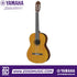 Zoso Music Yamaha C40M II full size classical guitar with a natural spruce top and matte finish nylon strings.