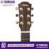 Zoso Music Yamaha CSF1M acoustic guitar headstock with chrome tuning machines and steel strings
