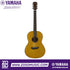 Zoso Music Yamaha CSF3M parlor acoustic-electric guitar with solid Sitka spruce top and natural gloss finish