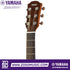 Zoso Music Yamaha CSF3M acoustic guitar headstock with chrome tuning machines and rosewood fingerboard