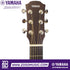 Headstock of a Yamaha CSF3M acoustic guitar with chrome tuning machines, sold by Zoso Music