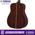 Zoso Music Yamaha 60th Anniversary FG9 acoustic guitar back view showing dark Guatemalan rosewood grain