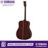 Zoso Music Yamaha 60th Anniversary FG9 acoustic guitar back view showing Guatemalan rosewood body and mahogany neck