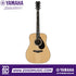 Zoso Music Yamaha 60th Anniversary FG9 acoustic guitar in natural finish with Adirondack spruce top and rosewood back