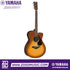 Zoso Music Yamaha FGX800C acoustic electric guitar with solid spruce top, cutaway body, and nato back and sides