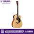 Zoso Music Yamaha FGX800C acoustic electric guitar with solid spruce top, cutaway body, and nato back and sides.