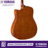 Zoso Music Yamaha FGX800C acoustic electric guitar back view showing the nato wood body and cutaway design