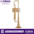 Zoso Music Yamaha YTR-4335Gii intermediate Bb trumpet with a gold brass bell and yellow brass body