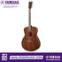 Zoso Music Yamaha Storia III concert acoustic guitar in chocolate brown solid mahogany with a glossy finish