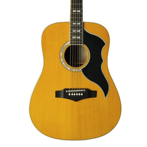 DISPLAY CLEARANCE - EKO RANGER VI CUSTOM FL | EKO , Zoso Music