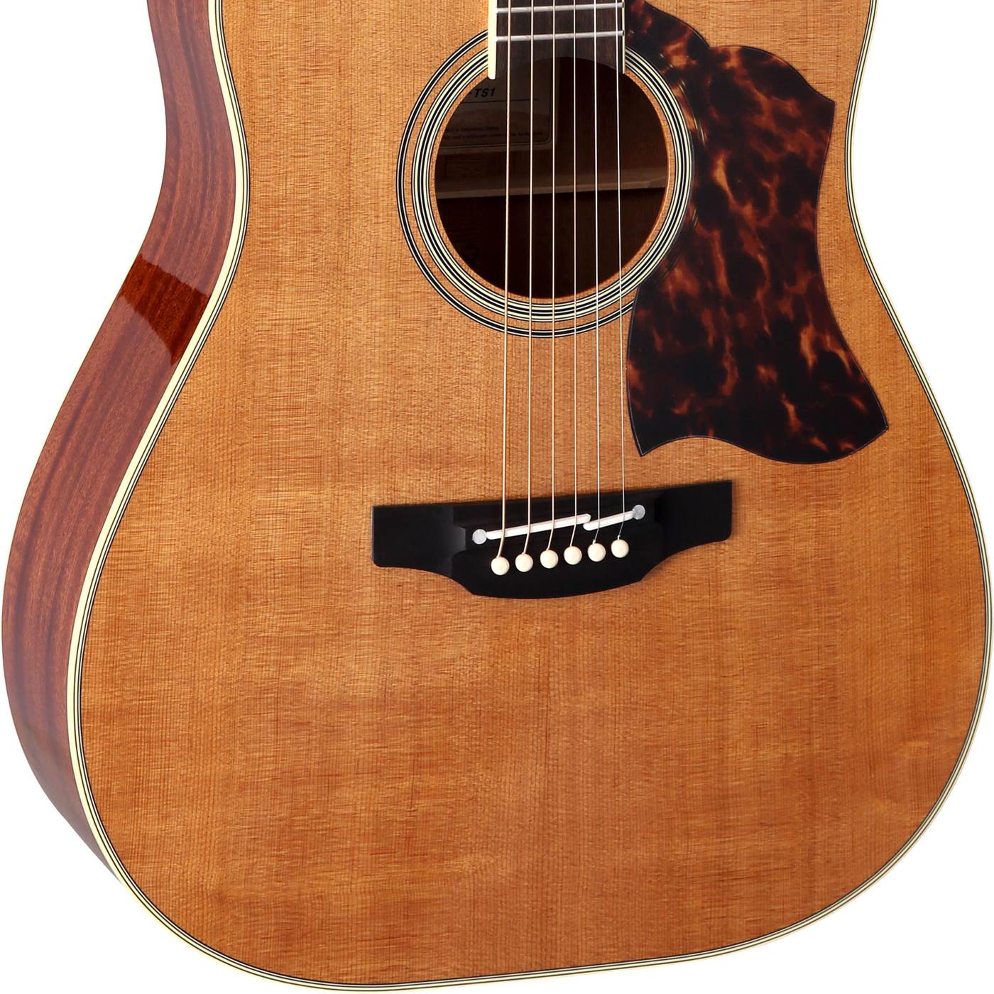 TAKAMINE CRN-TS1 THERMAL TOP PRO SERIES DREADNOUGHT ACOUSTIC-ELECTRIC GUITAR, CT4BII PREAMP & HARD CASE (MADE IN JAPAN) |  TAKAMINE |  ACOUSTIC GUITAR |  Zoso Music
