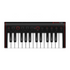 IK Multimedia Mini 25-key Keyboard controller with Lightning (iOS) and USB (Mac/PC) |  IK MULTIMEDIA |  KEYBOARD-MIDI CONTROLLER |  Zoso Music