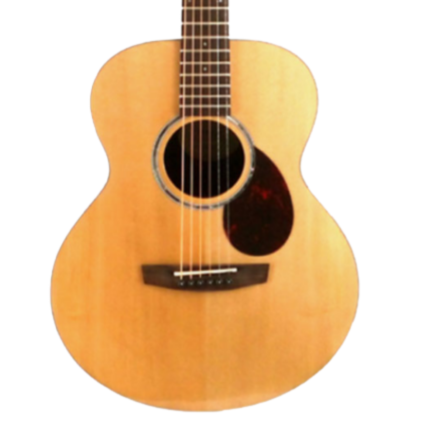 Enya EM-Q1e 36" Acoustic Guitar EQ With Bag And Accessories | ENYA , Zoso Music
