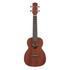 Ibanez Ukc100 Concert Ukulele, Natural |  IBANEZ |  UKULELE |  Zoso Music