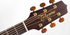 Takamine Acoustic-Electric Pro Series P3NC Nex Cutaway Body, Solid Cedar Top, Sapele Back & Side, CT4BII Preamp with Hard Case |  TAKAMINE |  ACOUSTIC GUITAR |  Zoso Music