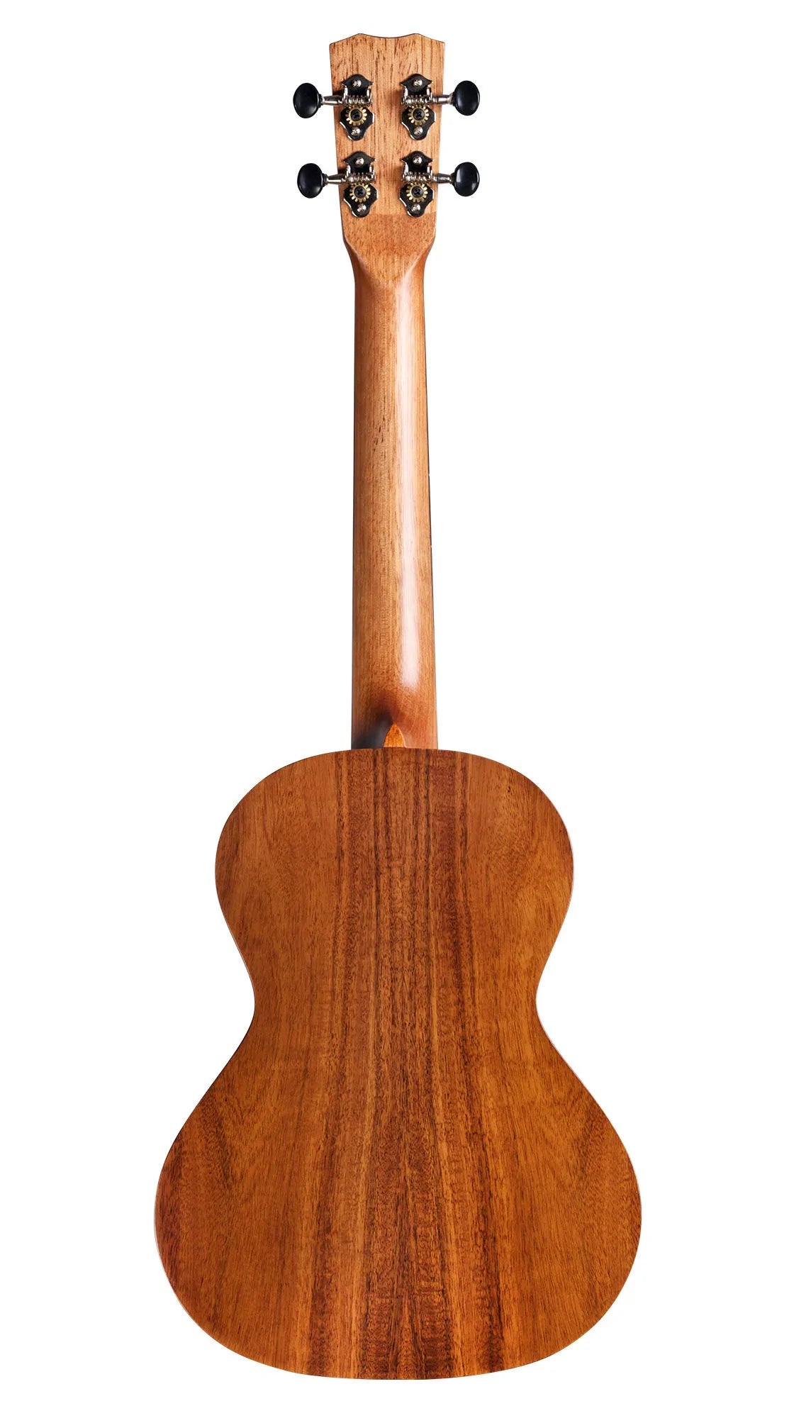 Cordoba 25T Acacia Tenor Ukulele - Solid Acacia Top, Figured Acacia Back & Sides | CORDOBA , Zoso Music
