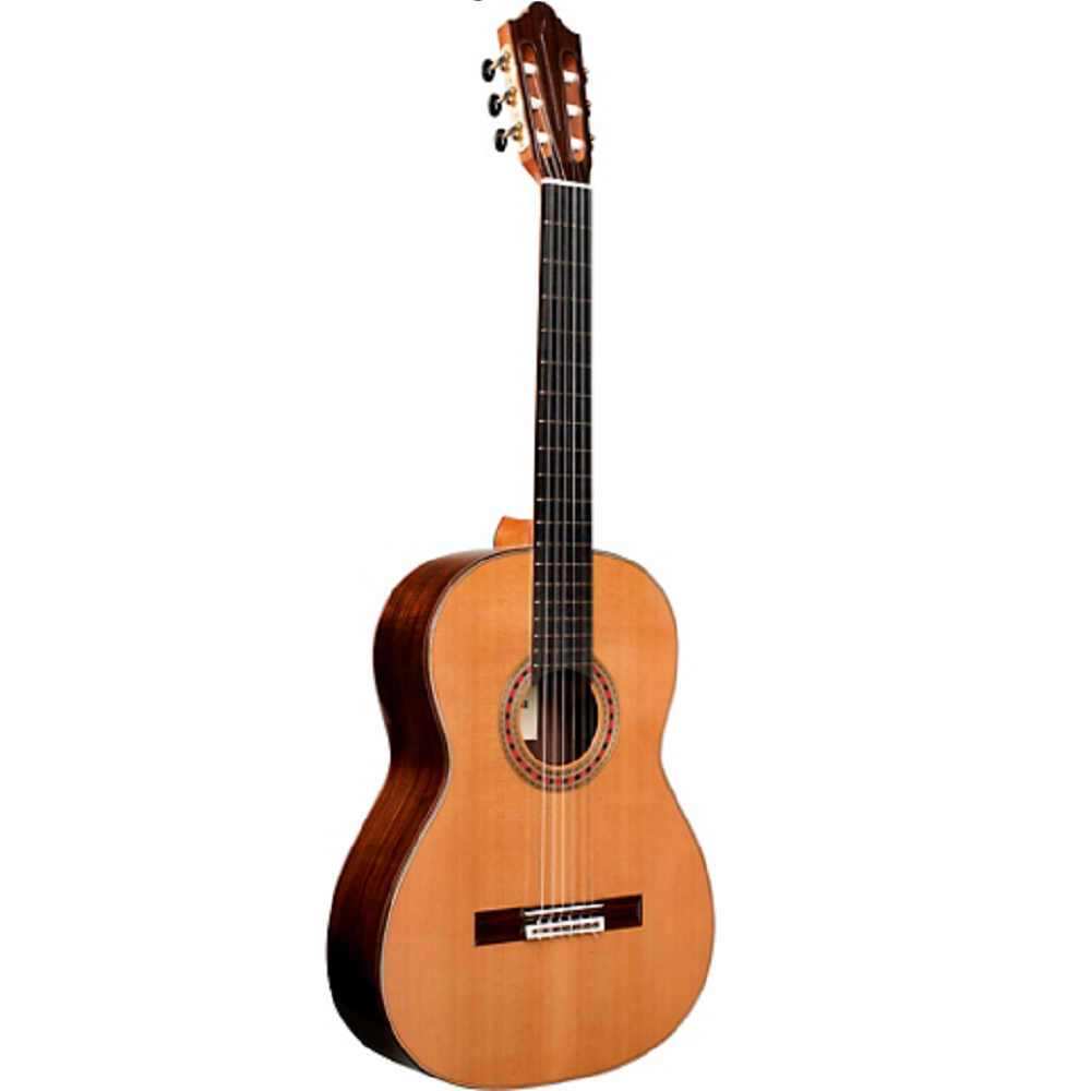 Cordoba Friederich CD PF - Solid Canadian Cedar Top, Solid Rosewood Back & Sides, With Cordoba Humidified Archtop Wood Case | CORDOBA , Zoso Music