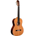 Cordoba Friederich CD PF - Solid Canadian Cedar Top, Solid Rosewood Back &amp; Sides, With Cordoba Humidified Archtop Wood Case | CORDOBA , Zoso Music