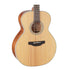 TAKAMINE GN20 NS NEX BODY SOLID CEDAR TOP ACOUSTIC GUITAR |  TAKAMINE |  ACOUSTIC GUITAR |  Zoso Music