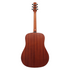 Ibanez AAD50-LG Advanced Acoustic Series Acoustic Guitar, Natural Low Gloss |  IBANEZ |  ACOUSTIC GUITAR |  Zoso Music