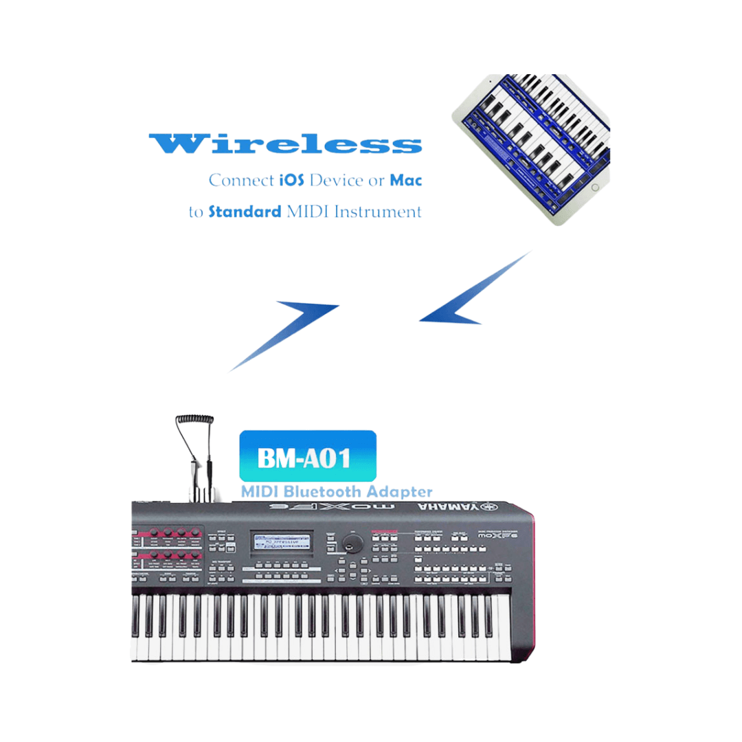 Avatar BM-A01 Wireless Midi Out | AVATAR , Zoso Music