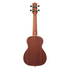 Ibanez Ukc100 Concert Ukulele, Natural |  IBANEZ |  UKULELE |  Zoso Music
