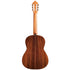 Cordoba Friederich CD PF - Solid Canadian Cedar Top, Solid Rosewood Back &amp; Sides, With Cordoba Humidified Archtop Wood Case | CORDOBA , Zoso Music