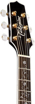 TAKAMINE EF450C-TT BSB THERMAL TOP SERIES NEX CUTAWAY ACOUSTIC-ELECTRIC GUITAR, BROWN SUNBURST, TLD-2 PREAMP & HARD CASE (MADE IN JAPAN) |  TAKAMINE |  ACOUSTIC GUITAR |  Zoso Music