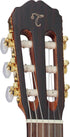 TAKAMINE GC5CE NAT | CUTAWAY | SOLID SPRUCE TOP | CLASSICAL ACOUSTIC-ELECTRIC WITH TP-4T PREAMP |  TAKAMINE |  CLASSICAL GUITAR |  Zoso Music