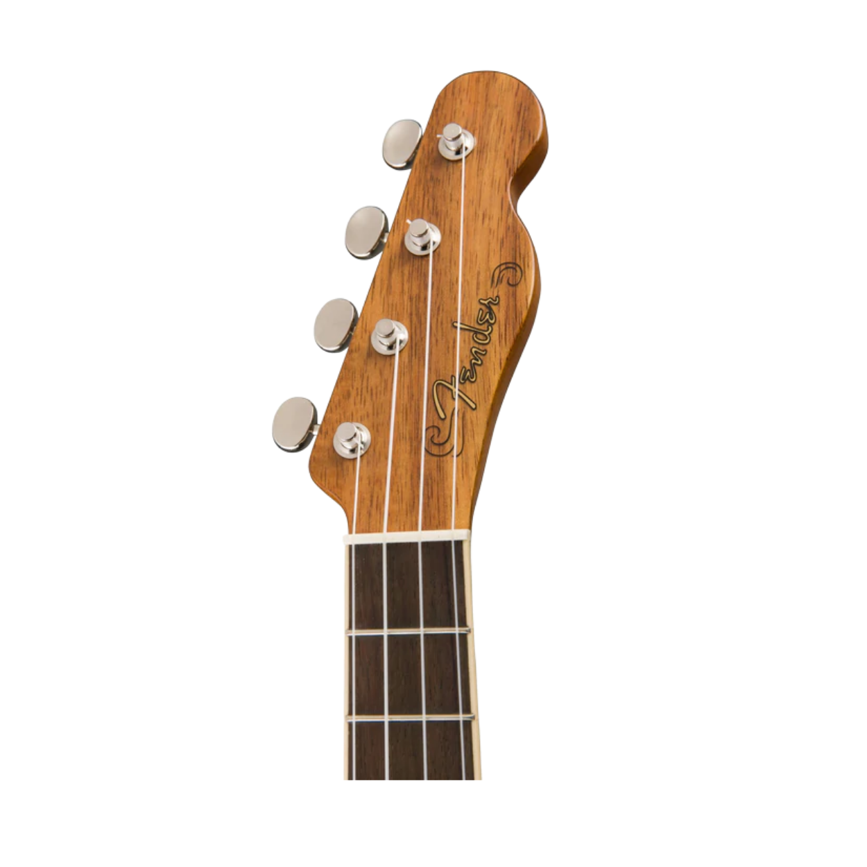 Fender Montecito Tenor Ukulele w/Bag, Walnut FB, Natural |  FENDER |  UKULELE |  Zoso Music