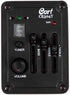 Cort SFX-MEM Acoustic Guitar With Bag Open Pore | CORT , Zoso Music