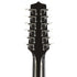 TAKAMINE EF381DX DELUXE PRO SERIES 12-STRING DREADNOUGHT CUTAWAY ACOUSTIC-ELECTRIC GUITAR, CT4BII PREAMP & HARD CASE (MADE IN JAPAN) |  TAKAMINE |  ACOUSTIC GUITAR |  Zoso Music