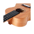 Enya EUC-25D 23" Concert Ukulele Body African Mahogany | ENYA , Zoso Music