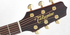 TAKAMINE P5NC PRO SERIES NEX CUTAWAY ACOUSTIC-ELECTRIC NATURAL GLOSS, CTP-3 COOLTUBE PREAMP & HARD CASE (MADE IN JAPAN) |  TAKAMINE |  ACOUSTIC GUITAR |  Zoso Music