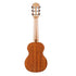 ENYA EGL-X1 28IN GUITARLELE | ENYA , Zoso Music