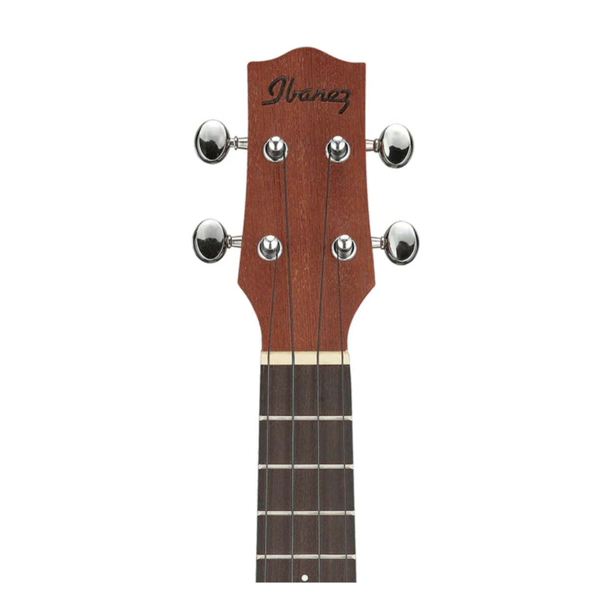 Ibanez Ukc100 Concert Ukulele, Natural |  IBANEZ |  UKULELE |  Zoso Music