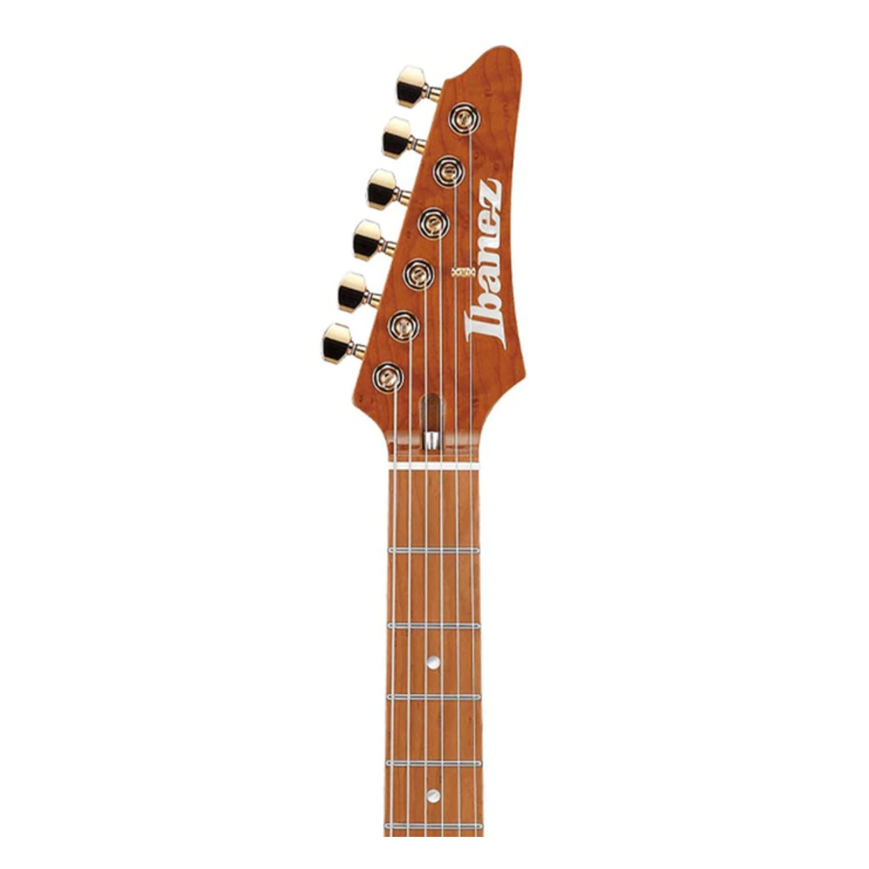 Ibanez Lari Basilio Signature Lb1 Electric Guitar, Violet |  IBANEZ |  ELECTRIC GUITAR |  Zoso Music