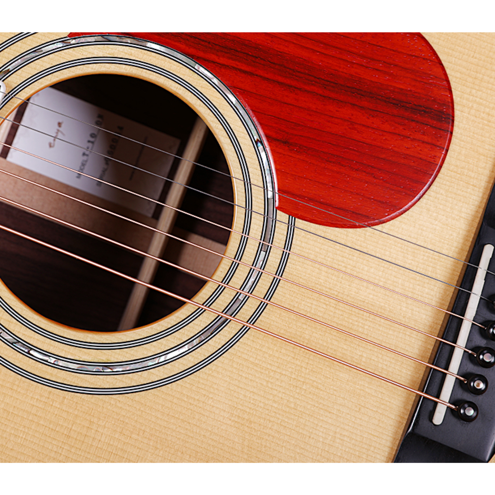 Enya T10-D 41" Adirondack Red Spruce Solid Top Dreadnought Acoustic Guitar Abalone Inlay With Hardcase | ENYA , Zoso Music