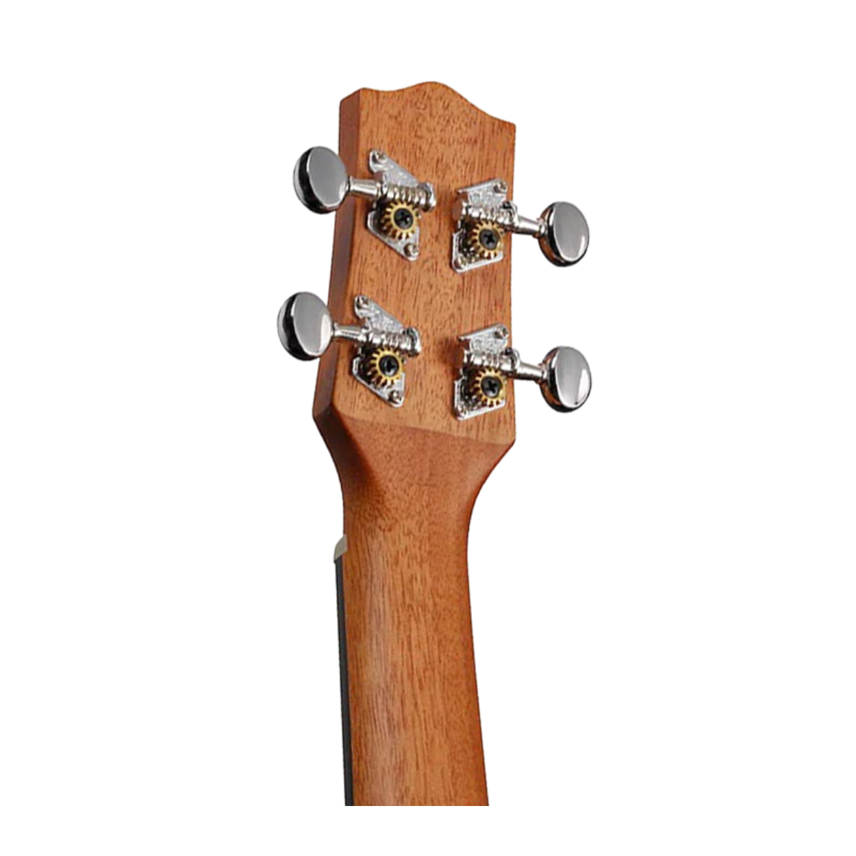 Ibanez Ukc100 Concert Ukulele, Natural |  IBANEZ |  UKULELE |  Zoso Music