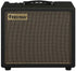 FRIEDMAN RUNT-20 1X12" 20-WATT TUBE COMBO AMP |  FRIEDMAN |  AMPLIFIER-ELECTRIC |  Zoso Music