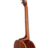 Enya T05-J 41" Tribute Series Sitka Spruce Solid Top Jumbo Acoustic Guitar With Hardcase | ENYA , Zoso Music